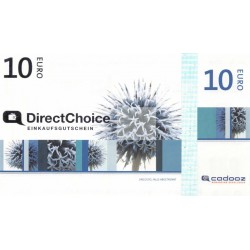 10 EUR DirectChoice EinkaufsGutschein – Bargeld wird überflüssig